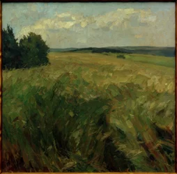 Kornfelder